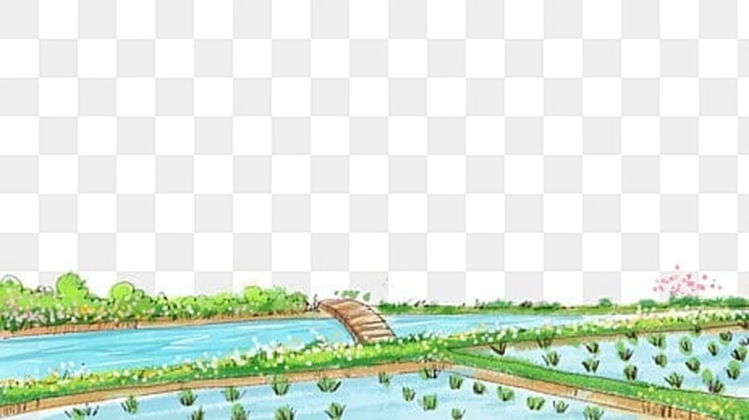 Tranh đồng quê vector cánh đồng PNG tranh đồng quê vector cánh đồng PNG minh họa phong cảnh quê