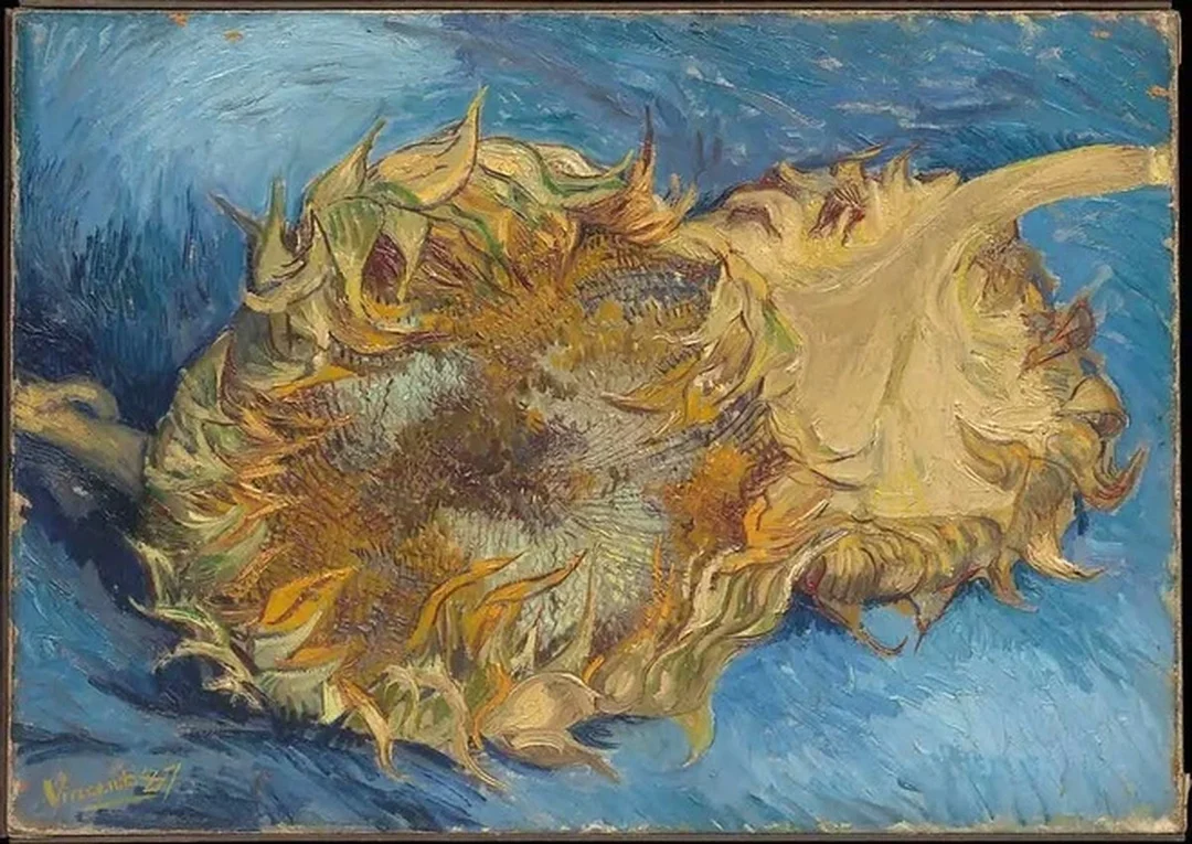 Phiên bản nổi tiếng của tranh hoa hướng dương của Van Gogh tranh hoa hướng dương của Van Gogh phiên bản nổi tiếng năm 1888
