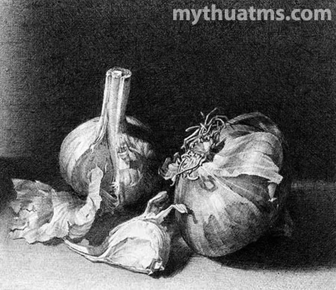 tranh tĩnh vật màu chì đang lên mảng sáng tối cho lọ và quả