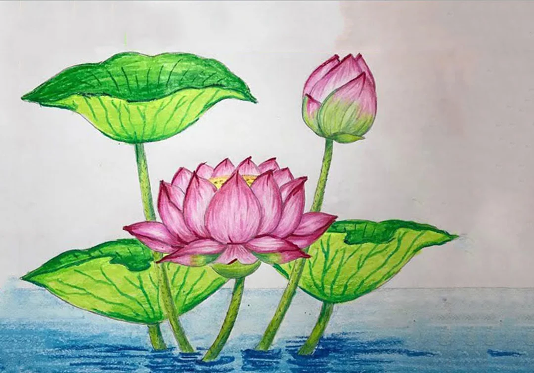 vẽ tranh hoa sen bằng nét phác thảo đơn giản vẽ tranh hoa sen bằng nét phác thảo đơn giản