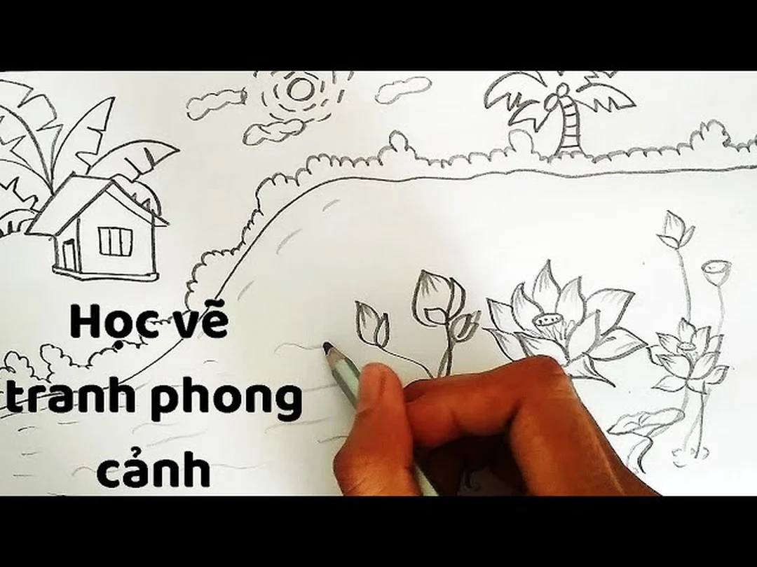 vẽ tranh hoa sen theo từng bước phác thảo và lên màu vẽ tranh hoa sen theo từng bước phác thảo và lên màu