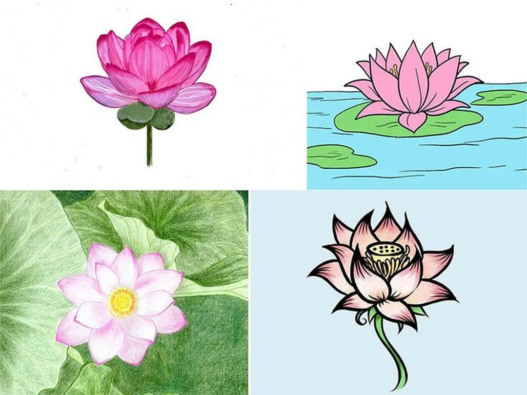 vẽ tranh hoa sen với bố cục cánh và lá cân bằng vẽ tranh hoa sen với bố cục cánh và lá cân bằng
