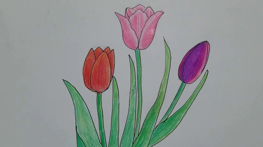 Video hướng dẫn vẽ tranh hoa tulip đơn giản